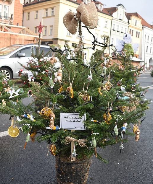 Obrázek k aktualitě Zdobení vánočního stromku na náměstí